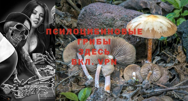 хмурый Алзамай