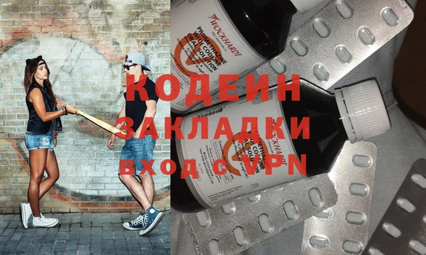 хмурый Алзамай