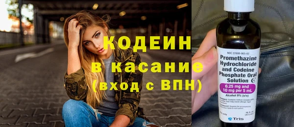 хмурый Алзамай