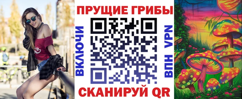 Псилоцибиновые грибы Cubensis блэк спрут онион Джанкой