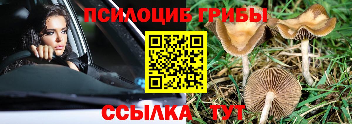 Галлюциногенные грибы мицелий Джанкой